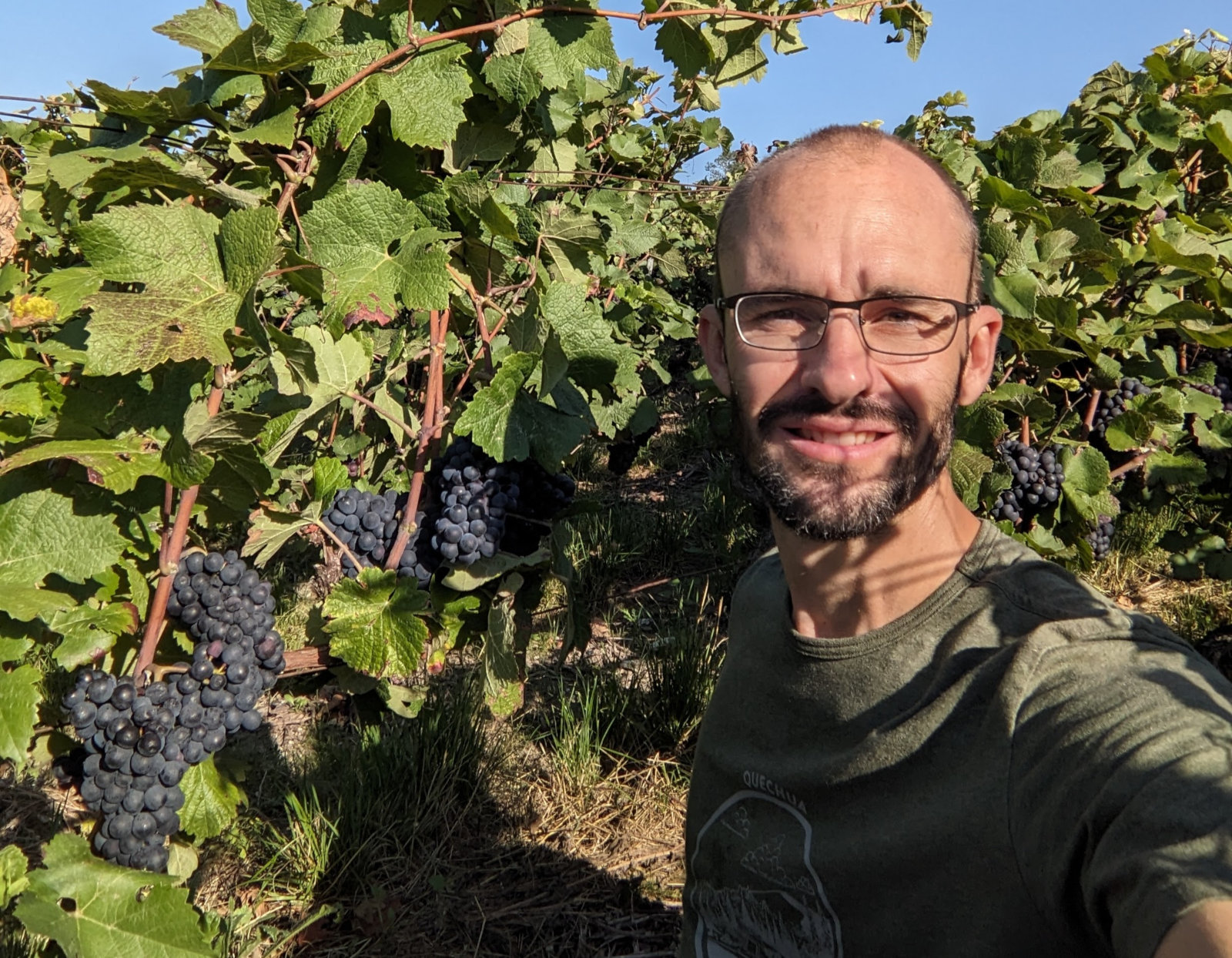 Vérification de la maturité des Meunier