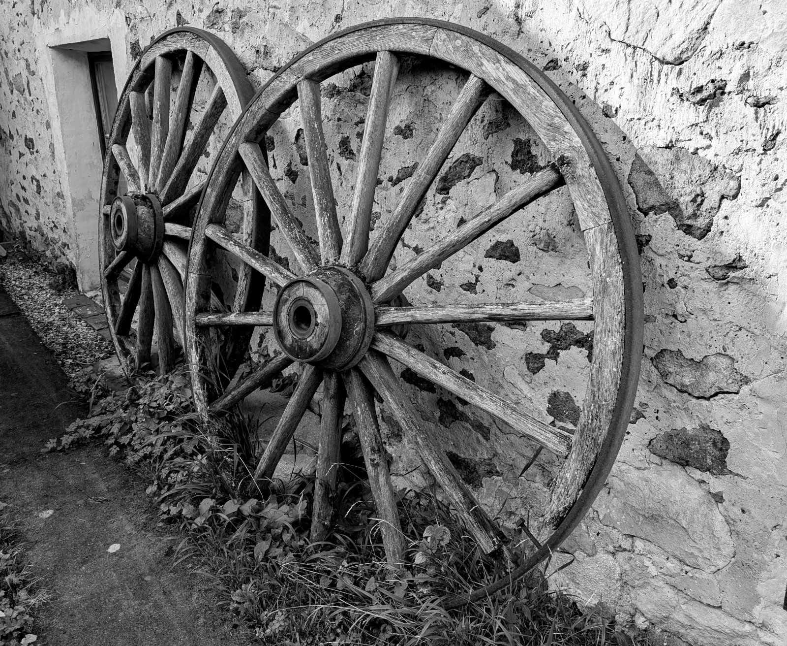 Roues de remorque utilisées aux vendanges